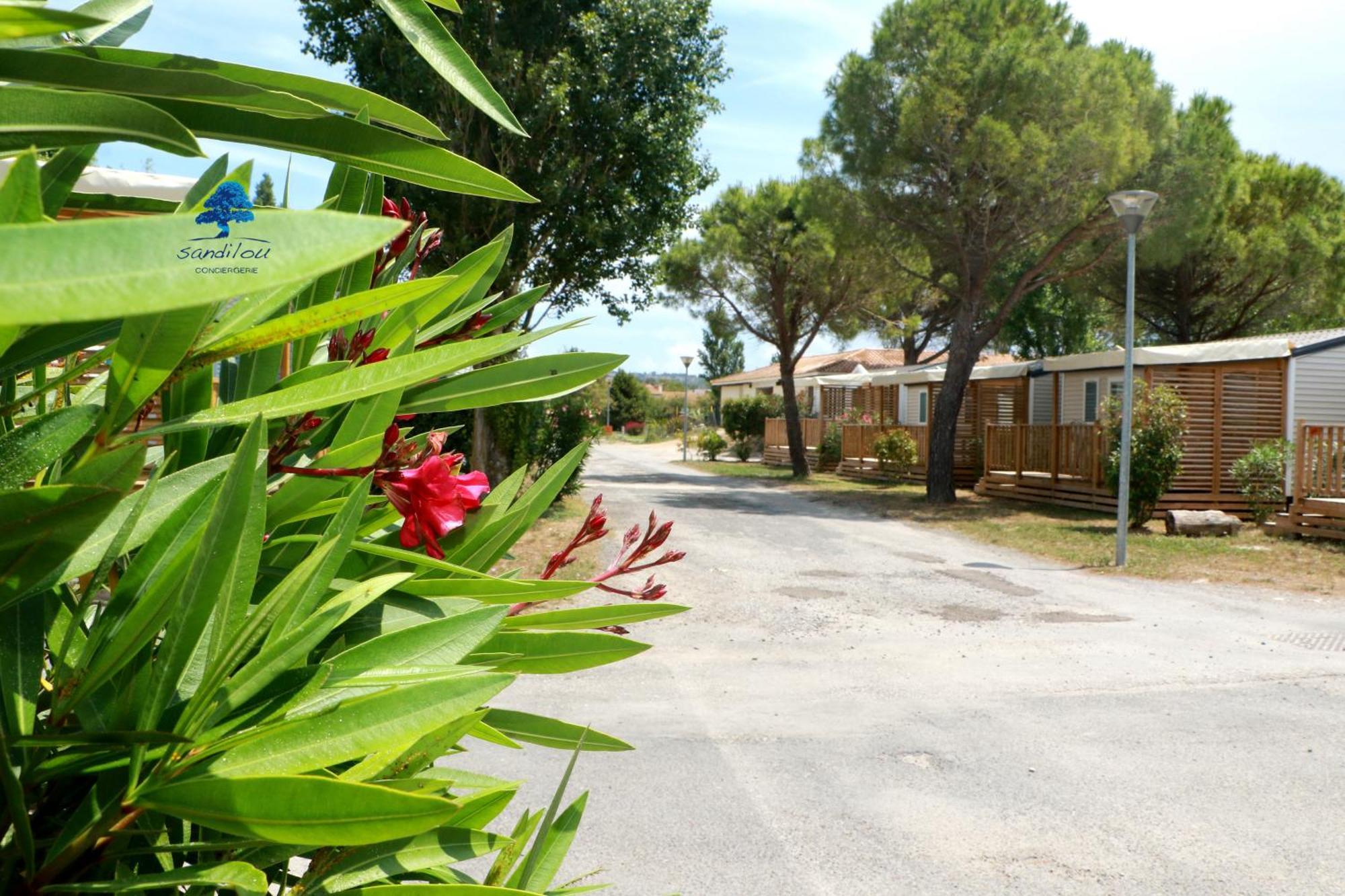 Mobilhome « Destination De Vacances» Sigean Exterior foto